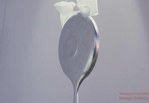 Waitresses Mirror, back